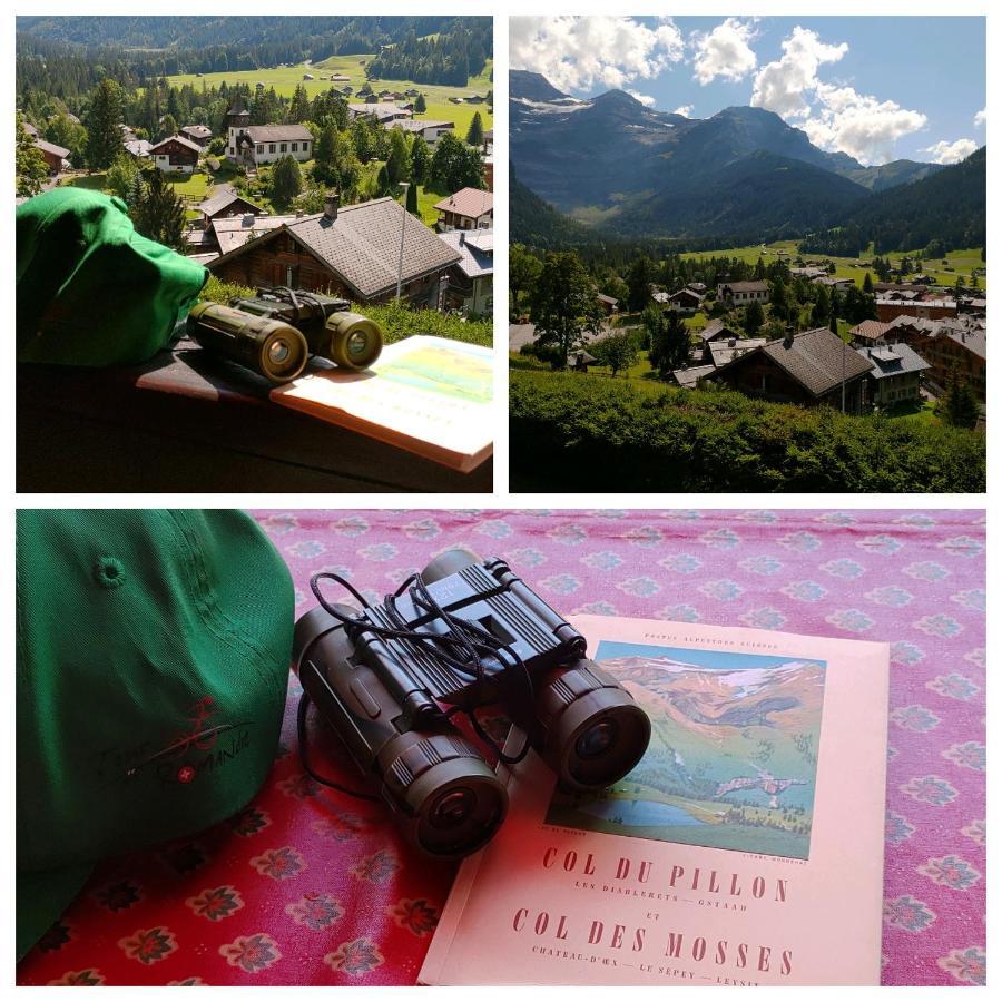 Studio Avec Vue Splendide Sur Les Diablerets Buitenkant foto
