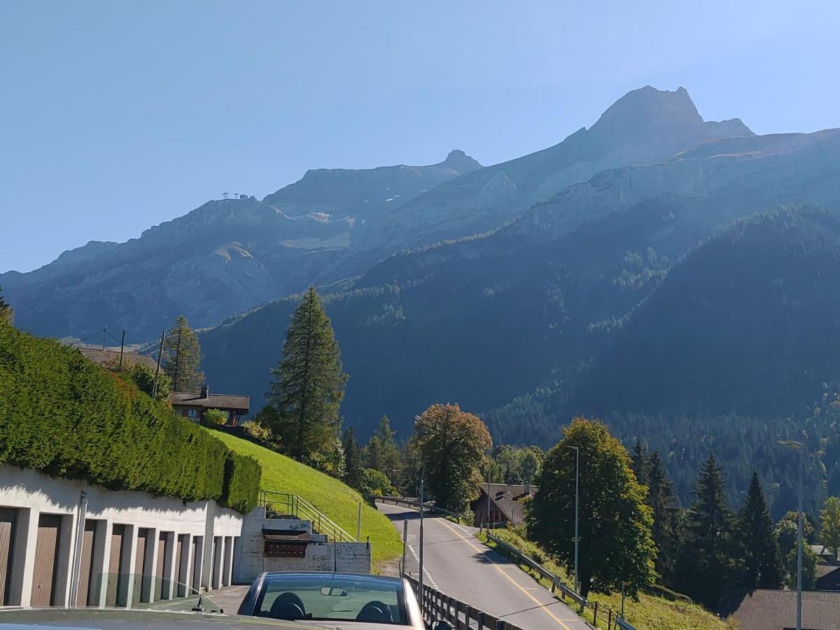 Studio Avec Vue Splendide Sur Les Diablerets Buitenkant foto