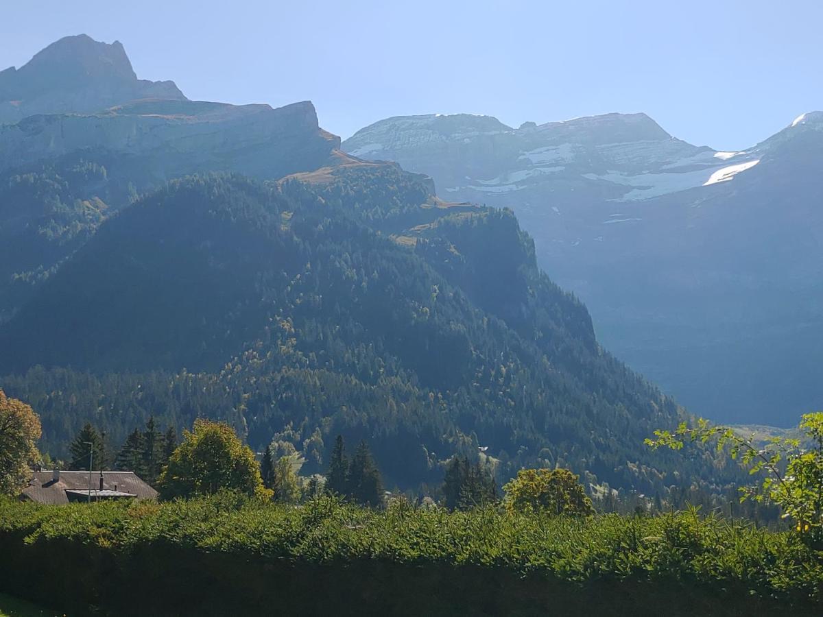 Studio Avec Vue Splendide Sur Les Diablerets Buitenkant foto