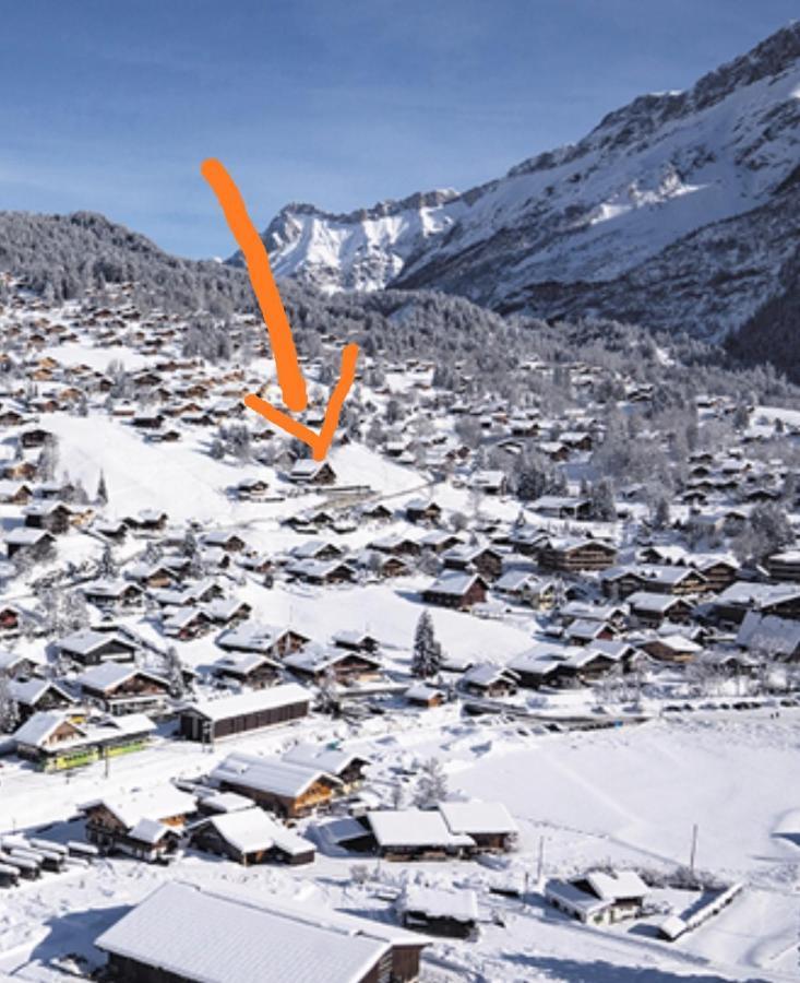 Studio Avec Vue Splendide Sur Les Diablerets Buitenkant foto