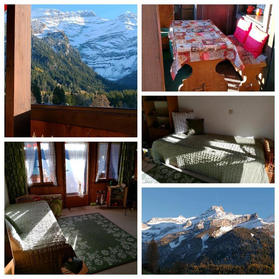 Studio Avec Vue Splendide Sur Les Diablerets Buitenkant foto