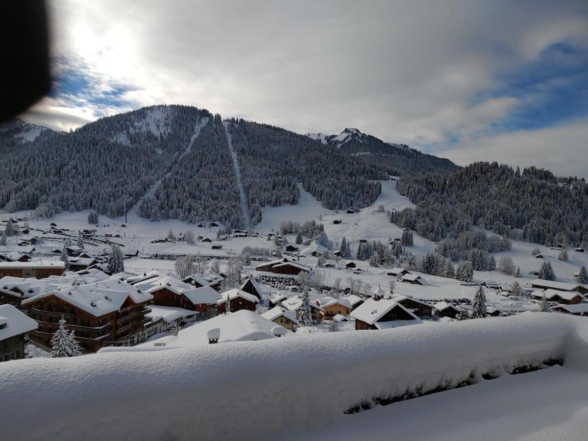Studio Avec Vue Splendide Sur Les Diablerets Buitenkant foto