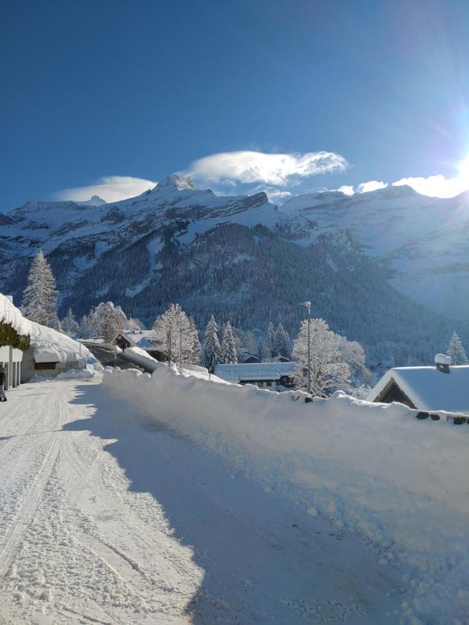 Studio Avec Vue Splendide Sur Les Diablerets Buitenkant foto