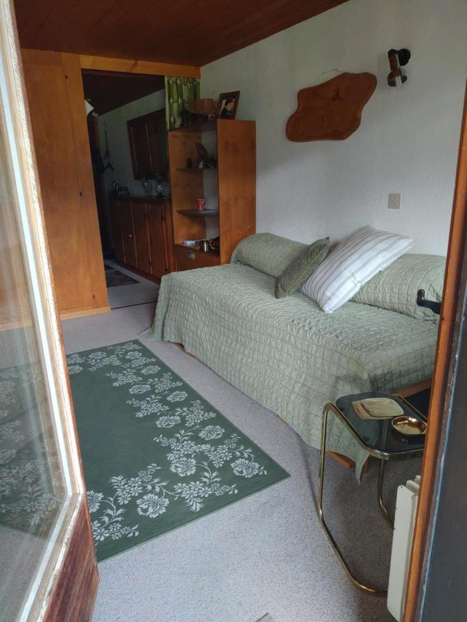 Studio Avec Vue Splendide Sur Les Diablerets Buitenkant foto